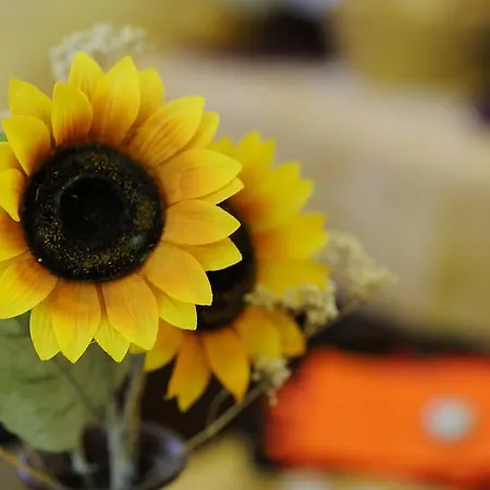 La Casa Romana Couette-café