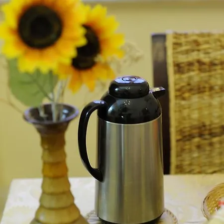 卡萨罗曼纳旅馆 4*