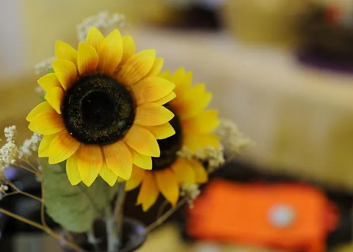 La Casa Romana Bed & Breakfast